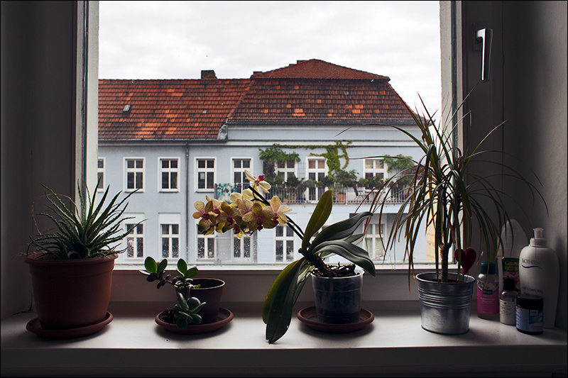 berlin window view 2015